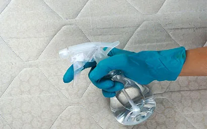 Deep Cleaning